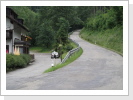 Klicken Sie auf das Bild, um es zu vergrößern