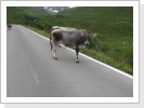 Klicken Sie auf das Bild, um es zu vergrößern