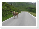Klicken Sie auf das Bild, um es zu vergrößern