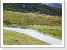 Klicken Sie auf das Bild, um es zu vergrößern
