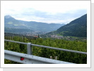 Klicken Sie auf das Bild, um es zu vergrößern