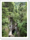 Klicken Sie auf das Bild, um es zu vergrößern