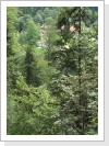 Klicken Sie auf das Bild, um es zu vergrößern