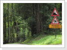 Klicken Sie auf das Bild, um es zu vergrößern