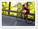 Klicken Sie auf das Bild, um es zu vergrößern