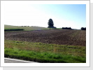 Klicken Sie auf das Bild, um es zu vergrößern