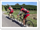 Klicken Sie auf das Bild, um es zu vergrößern