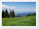 Klicken Sie auf das Bild, um es zu vergrößern