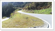 Klicken Sie auf das Bild, um es zu vergrößern